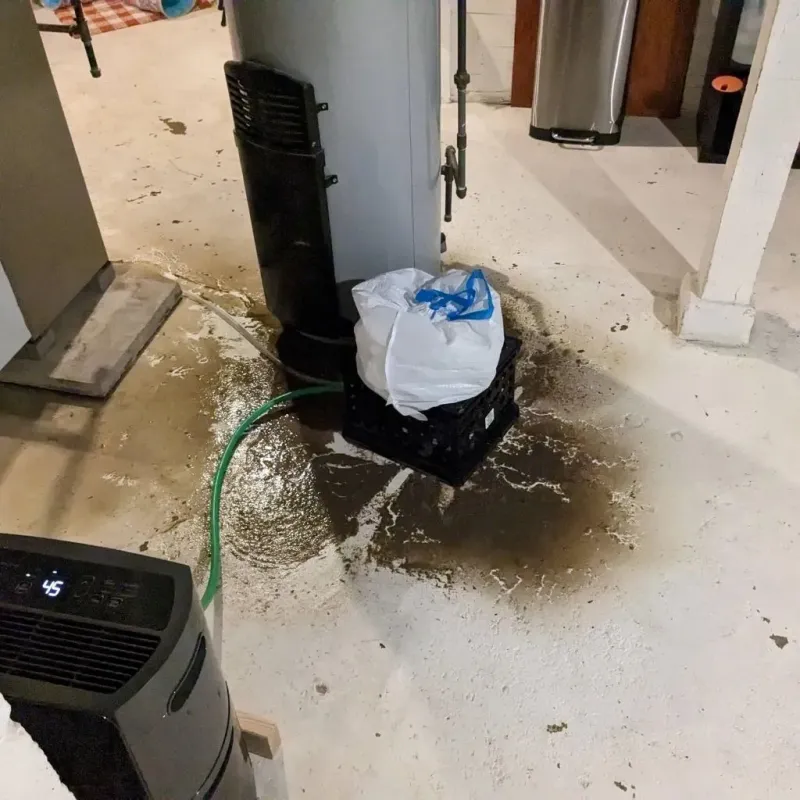 Sewage Backup Cleanup Service in Greenfields, PA